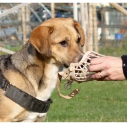 MUSERUOLA A CESTELLO IN PLASTICA PER CANI DI PICCOLA MEDIA GRANDE TAGLIA SICURA