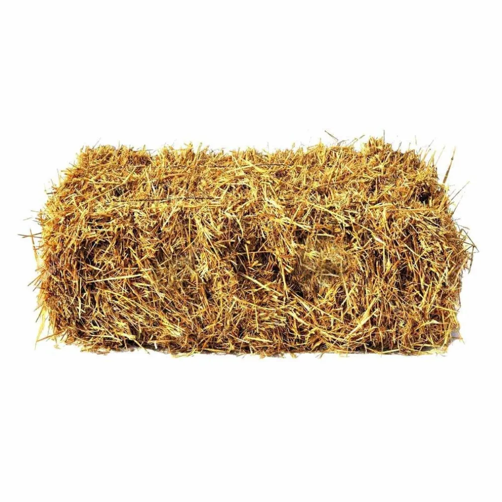 PAGLIA COLORE LEGNO DA 1KG PER DECORAZIONI ADDOBBI PRESEPE CESTI DA REGALO