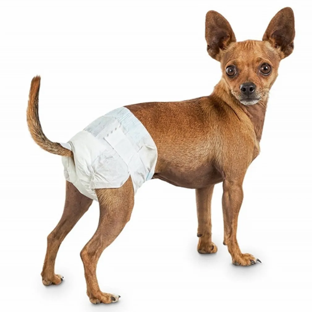 PANNOLINI ASSORBENTI PER CANI XS TAGLIA PICCOLA PANNOLINO TRAVERSINA ASSORBENTE