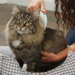 PETTINE SPAZZOLA ELETTRICA PERFETTO PER PELO GATTO CANE ANTIPULCI BATTERIE