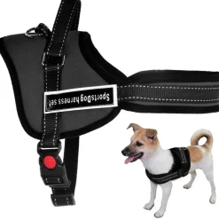 PETTORINA CINGHIA CANI CANE BARDATURA CINTURA IMBRAGATURA ADDESTRAMENTO