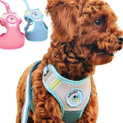 PETTORINA CON GUINZAGLIO REGOLABILE PER CANE TAGLIA PICCOLA CON DISEGNI COLORI