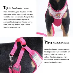 PETTORINA CON GUINZAGLIO REGOLABILE PER CANE TAGLIA PICCOLA CON DISEGNI COLORI