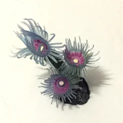 PIANTA CORALLO ARTIFICIALE FINTO PER DECORAZIONE ACQUARIO BLU VIOLA VASCA PESCI