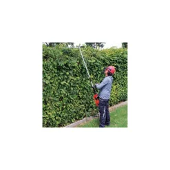 POTATORE TELESCOPICO EINHELL GC-HC 9024 T MULTIFUNZIONE POTENZA 900 W