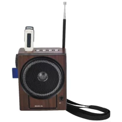 RADIO FM KARAOKE USB CASSA SPEAKER MP3 SD RICARICABILE CON TORCIA E MICROFONO
