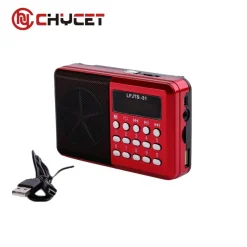 RADIO LETTORE MP3 MINI SPEAKER PORTATILE CON FLASH DRIVER TF CARD DISPLAY LED