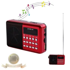 RADIO LETTORE MP3 MINI SPEAKER PORTATILE CON FLASH DRIVER TF CARD DISPLAY LED