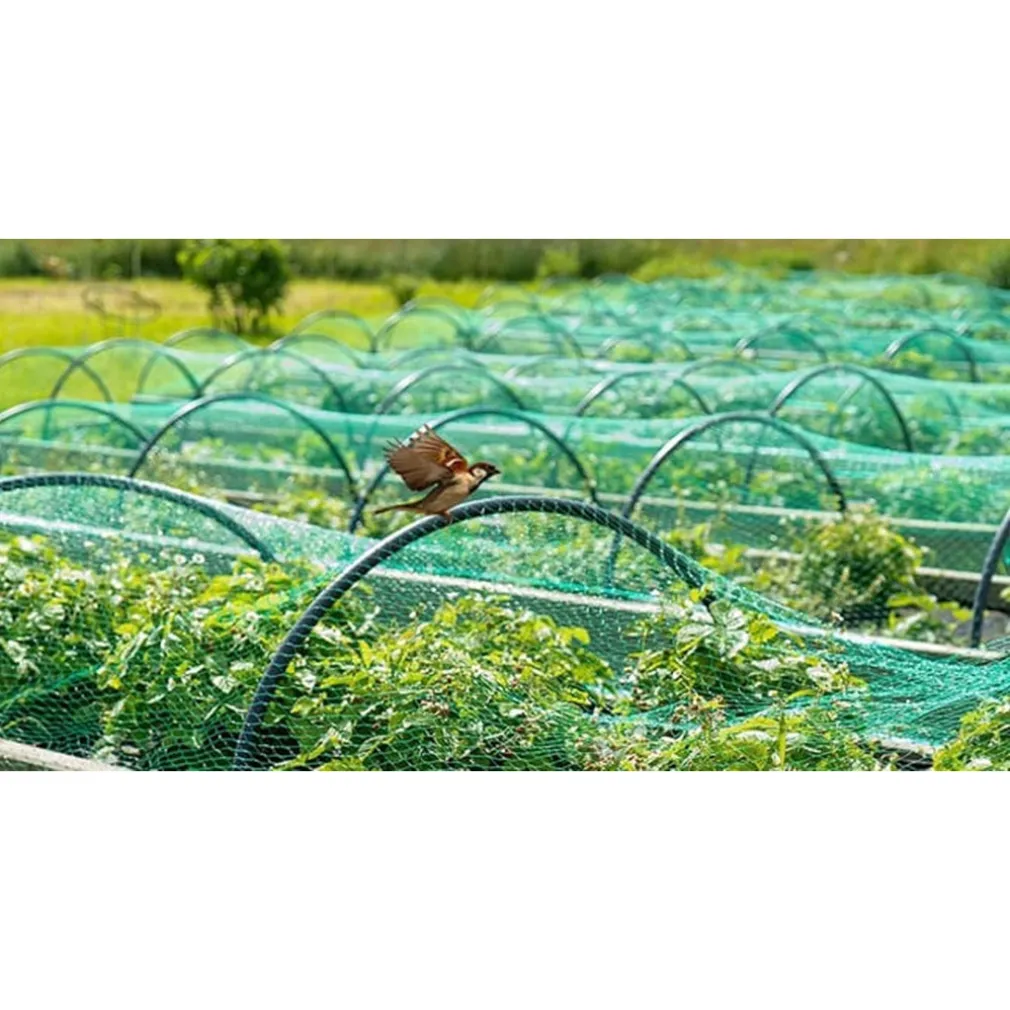 RETE ANTI ANIMALI MAGLIA POLIETILENE 1.5X10MT VERDE SCURO PROTEZIONE PIANTE ORTO 134617