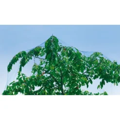 RETE ANTI UCCELLI PROTEZIONE ORTAGGI VERDE 4 X 3 METRI GIARDINO ORTO ANTIUCCELLI