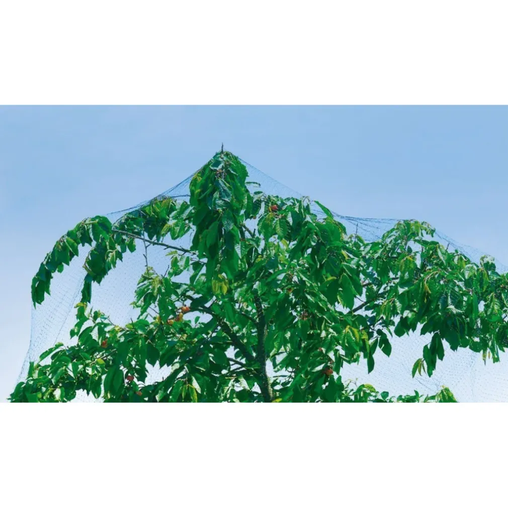 RETE ANTI UCCELLI PROTEZIONE ORTAGGI VERDE 4 X 3 METRI GIARDINO ORTO ANTIUCCELLI