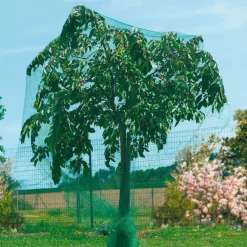 RETE ANTI UCCELLI PROTEZIONE ORTAGGI VERDE 4 X 3 METRI GIARDINO ORTO ANTIUCCELLI