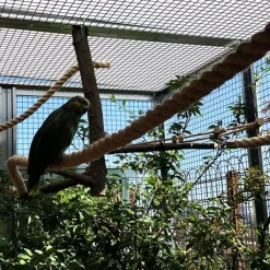 RETE METALLICA PLASTIFICATA VERDE 1X10MT MAGLIA 12,7X12,7MM RECINZIONE PROTETTIVA 57733