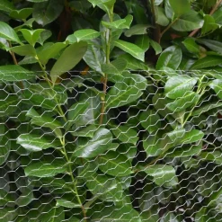 RETE METALLICA ZINCATA A MAGLIA ESAGONALE 16MM 1X10MT RECINZIONE PROTEZIONE GRN61 04318