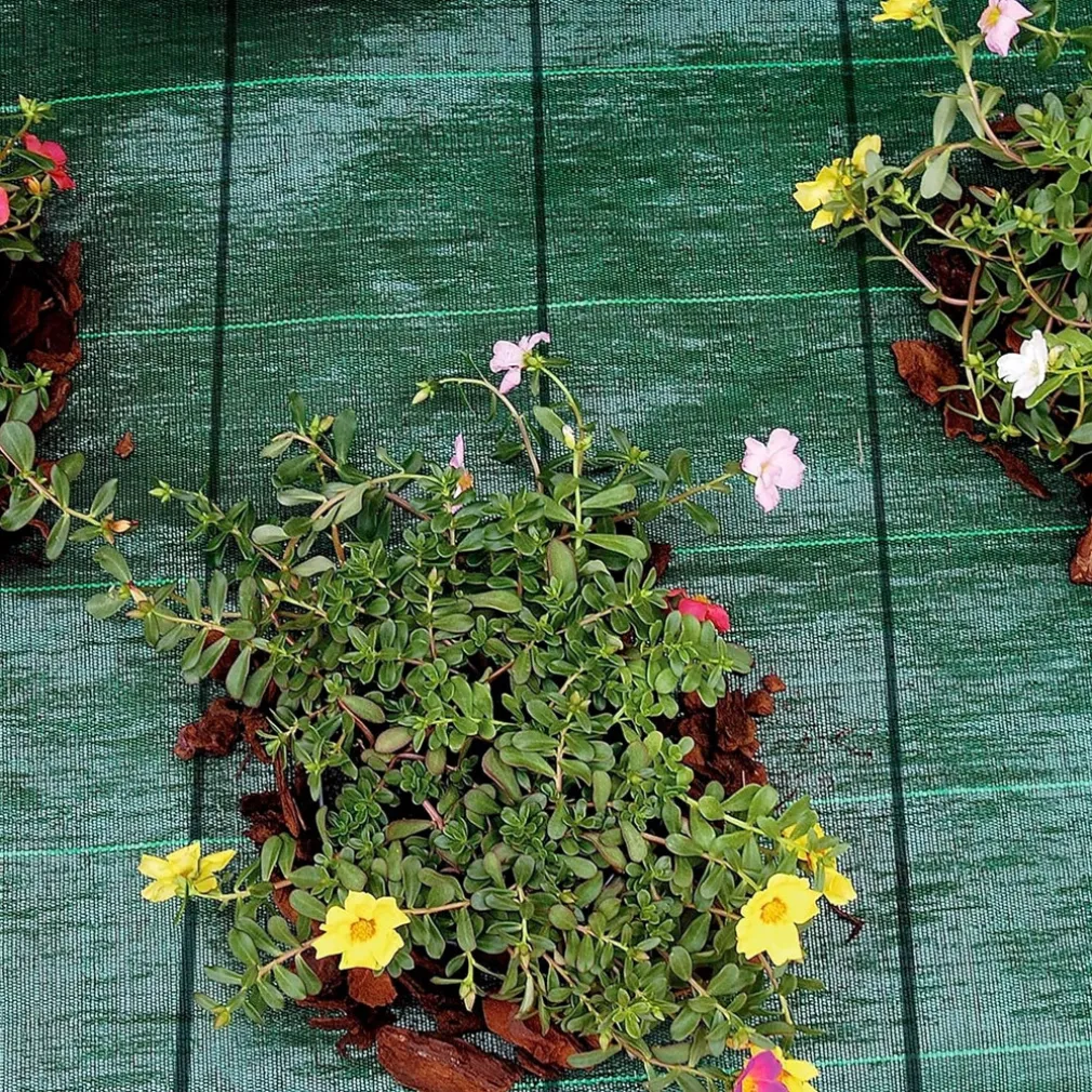 RETE TELO PACCIAMATURA ANTI ERBA PER ORTO GIARDINO SERRA 2 X 10 MT RESISTENTE 222253