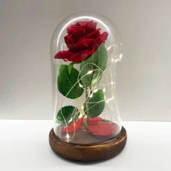 ROSA ETERNA INCANTATA LA BELLA E LA BESTIA IN CUPOLA CON BASE LEGNO E LUCI A LED