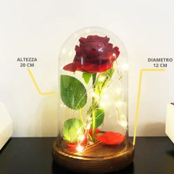 ROSA ETERNA INCANTATA LA BELLA E LA BESTIA IN CUPOLA CON BASE LEGNO E LUCI A LED