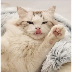 SACCO A PELO SEMI CHIUSO PELLICCIA SINTETICA MORBIDO PER GATTI CANI GRIGIO 50CM