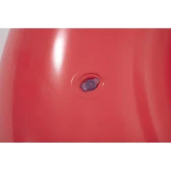 SALVAGENTE CIAMBELLA GONFIABILE PISCINA PER ADULTO AL LAMPONE PROFUMATO Ø119CM 019975