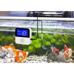 SENSORE DI TEMPERATURA UMIDITÀ DIGITALE PER INTERNO ESTERNO Q-WD01 SMART WIFI USB