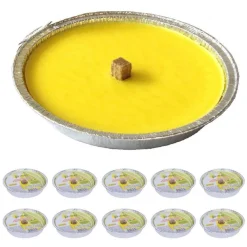 SET 10 CANDELE ALLA CITRONELLA ANTIZANZARE IN VASO ALLUMINIO FIACCOLA 11CM