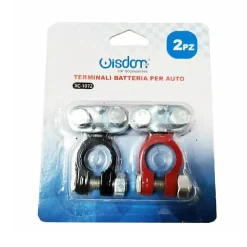 SET 2 PEZZI TERMINALI TERMINALE BATTERIA PER AUTO MORSETTI CON BULLONE XC-1072
