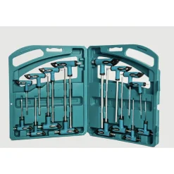 SET 16 PZ CHIAVI KIT CHIAVE A T ESAGONALI E TORX LUNGHE VALIGETTA PROFESSIONALI