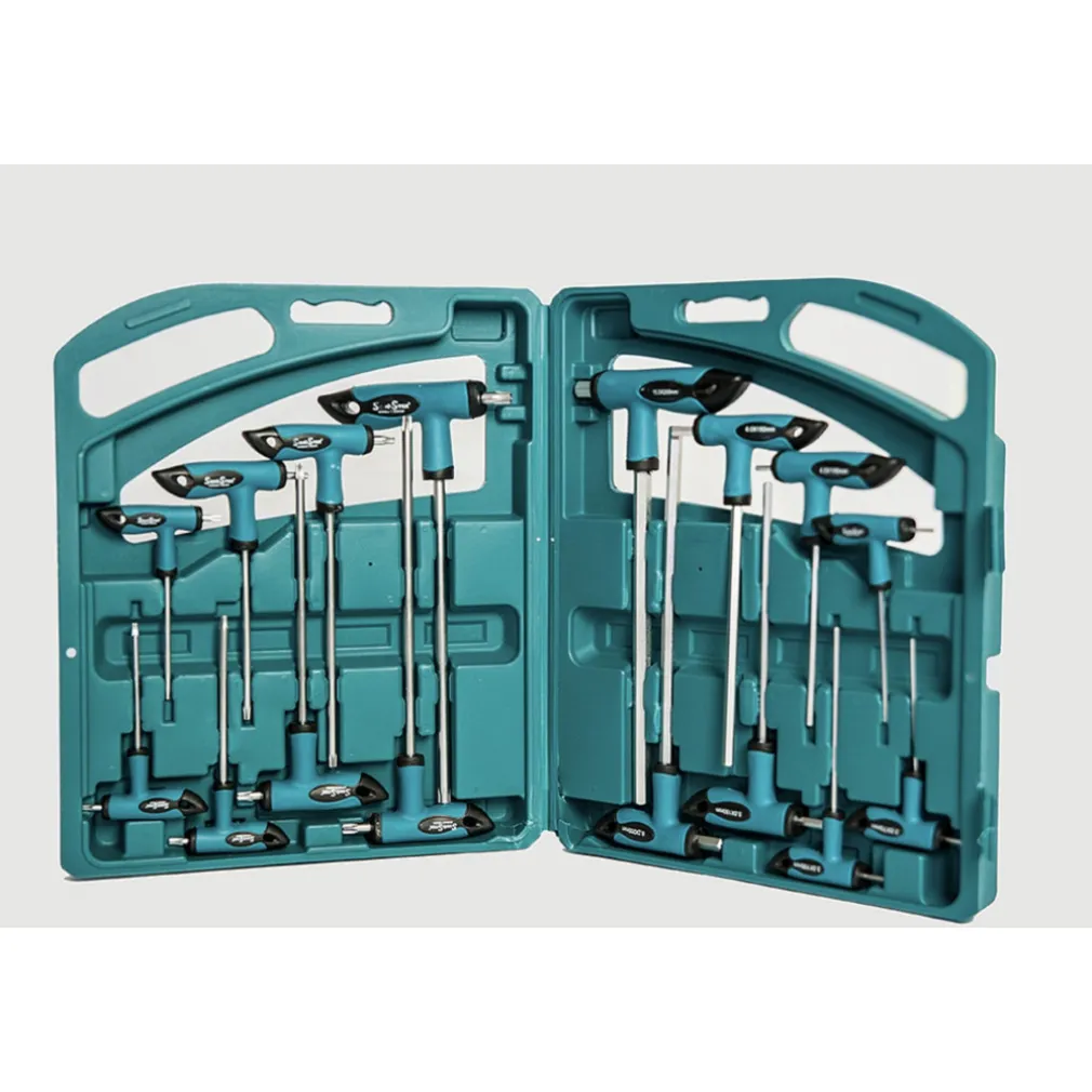 SET 16 PZ CHIAVI KIT CHIAVE A T ESAGONALI E TORX LUNGHE VALIGETTA PROFESSIONALI