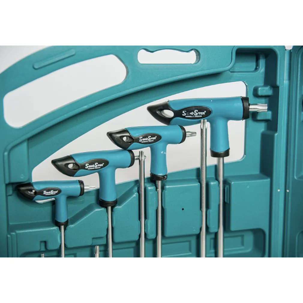 SET 16 PZ CHIAVI KIT CHIAVE A T ESAGONALI E TORX LUNGHE VALIGETTA PROFESSIONALI