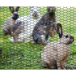 SET 3 PZ RETE METALLICA PLASTIFICATA 1X3 MT MAGLIA ESAGONALE 19MM RECINZIONE 020246