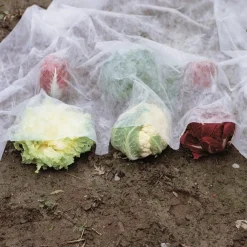 SET 3 PZ ROTOLI TELO PROTETTIVO TESSUTO PROTEZIONE DELLE COLTURE RACCOLTI 2X10MT 134060