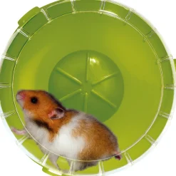 SET 2 PZ. RUOTE PER RODITORI GABBIA CRICETI TOPI PORCELLINI D'INDIA GIOCO ESERCIZIO ANIMALI