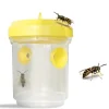 SET 6 PZ TRAPPOLA PER VESPE CALABRONI INSETTI DA APPENDERE BALCONE GIARDINO 020176