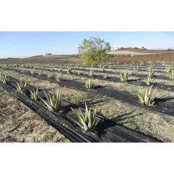 SET 3PZ RETE ANTI ERBA TELO PACCIAMATURA ORTO GIARDINO SERRA 1X10MT RESISTENTE 129912