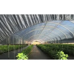 SET 3PZ RETE ANTI ERBA TELO PACCIAMATURA ORTO GIARDINO SERRA 1X10MT RESISTENTE 129912