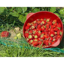 SET 2PZ RETE IN POLIETILENE ANTI ANIMALI MAGLIA 1.5X10MT VERDE PROTEZIONE PIANTE ORTO 134614