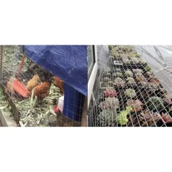 SET 3PZ RETE METALLICA ZINCATA 1X3MT RECINZIONE PROTEZIONE ALBERI GIARDINO ANIMALI 020249