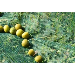 SET 3PZ RETE PER RACCOLTA OLIVE FRUTTA PIANTAGIONI RESISTENTE DUREVOLE 3X6MT VERDE 222269