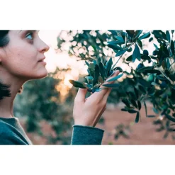 SET 3PZ RETE PER RACCOLTA OLIVE FRUTTA PIANTAGIONI 4X6MT RESISTENTE DUREVOLE VERDE 222272