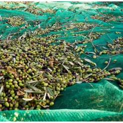 SET 3PZ RETE PER RACCOLTA OLIVE FRUTTA PIANTAGIONI 4X8MT RESISTENTE DUREVOLE VERDE 222273