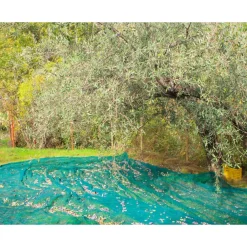 SET 3PZ RETE PER RACCOLTA OLIVE FRUTTA PIANTAGIONI 4X8MT RESISTENTE DUREVOLE VERDE 222273