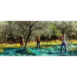 SET 3PZ RETE PER RACCOLTA OLIVE FRUTTA PIANTAGIONI 4X8MT RESISTENTE DUREVOLE VERDE 222273
