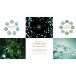 SIERO VISO TAIFù ELISIR GOLD ANTIETà IDRATANTE CON ACIDO IALURONICO COLLAGENE