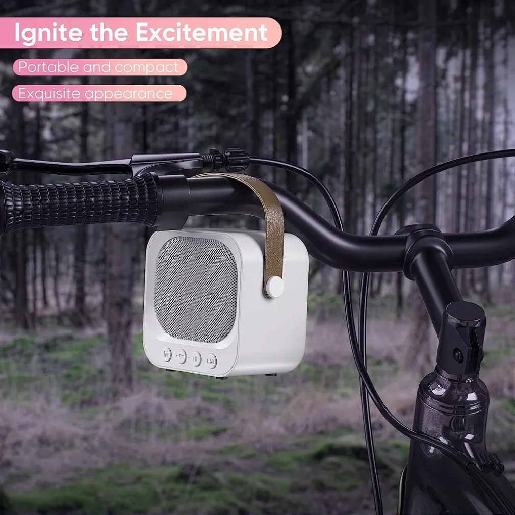 SISTEMA KARAOKE BLUETOOTH CON MICROFONO ALTOPARLANTE PORTATILE CON MANIGLIA AUDIO