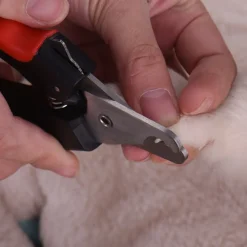 TAGLIA UNGHIE TAGLIAUNGHIE FORBICI PER CANI GATTI TRONCHESINO CON LIMA LIMETTA