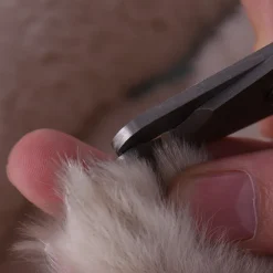 TAGLIA UNGHIE TAGLIAUNGHIE FORBICI PER CANI GATTI TRONCHESINO CON LIMA LIMETTA