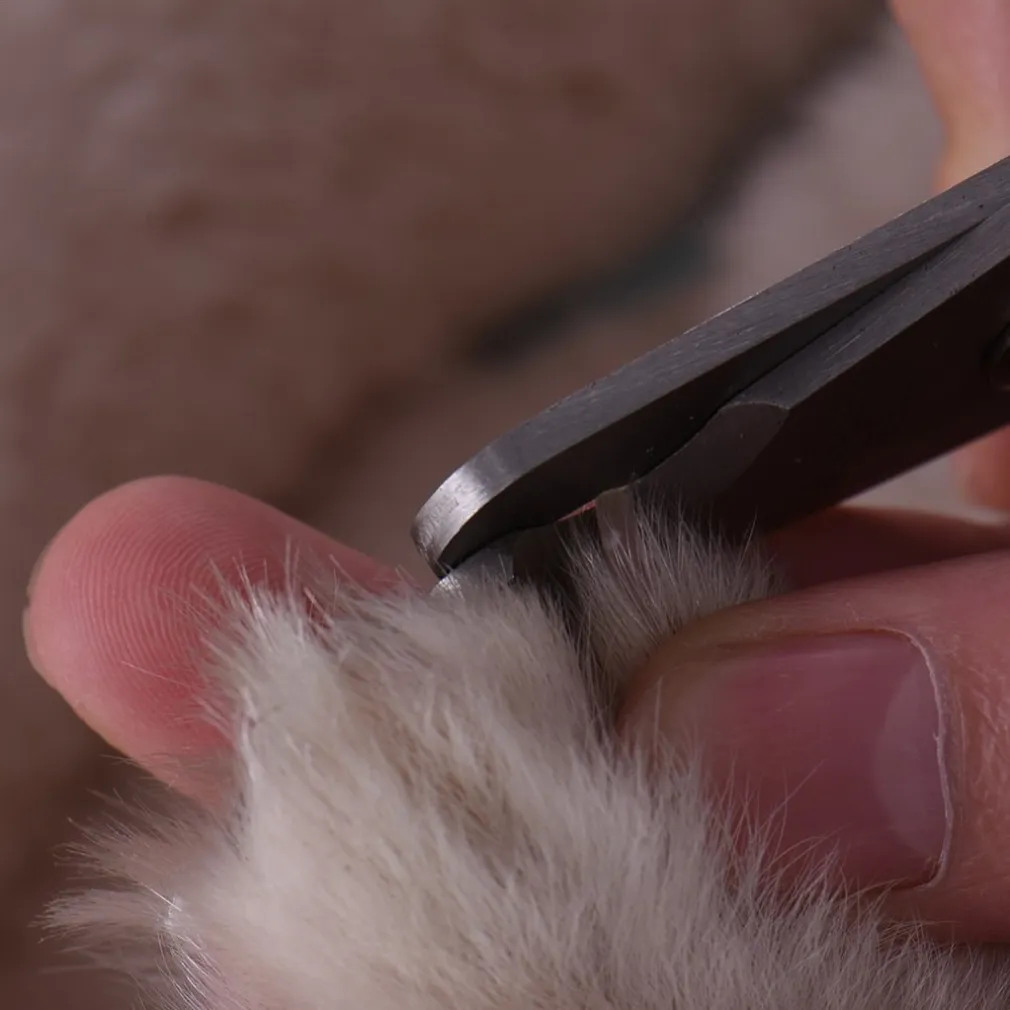 TAGLIA UNGHIE TAGLIAUNGHIE FORBICI PER CANI GATTI TRONCHESINO CON LIMA LIMETTA