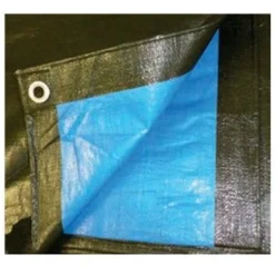 TELONE RAFIA 100GR COPERTURA PER PISCINA 2X3MT IMPERMEABILE RESISTENTE OCCHIELLI 404434