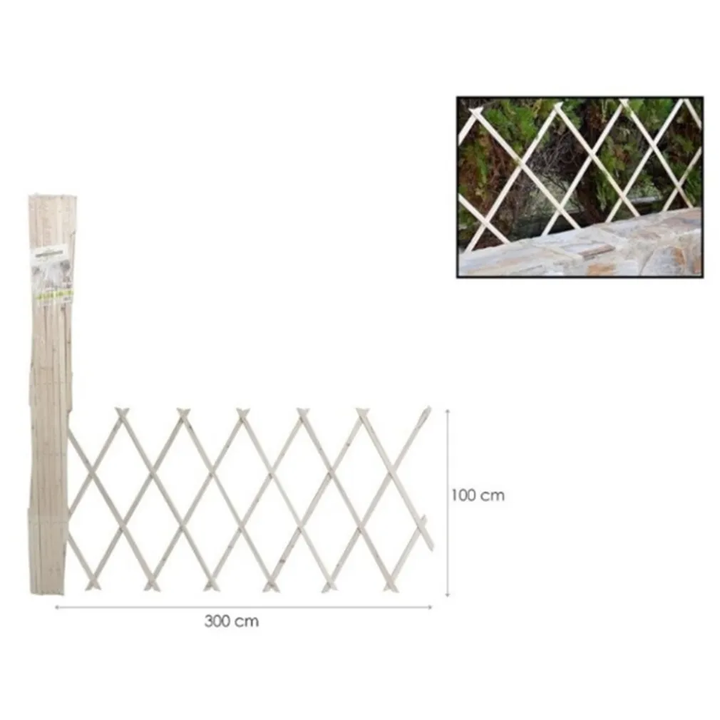 TRALICCIO ESTENSIBILE IN LEGNO NATURALE CHIARO PIANTE RAMPICANTI GIARDINO 300X100CM 222735