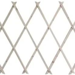 TRALICCIO ESTENSIBILE IN LEGNO NATURALE CHIARO PIANTE RAMPICANTI GIARDINO 200X100CM 222734